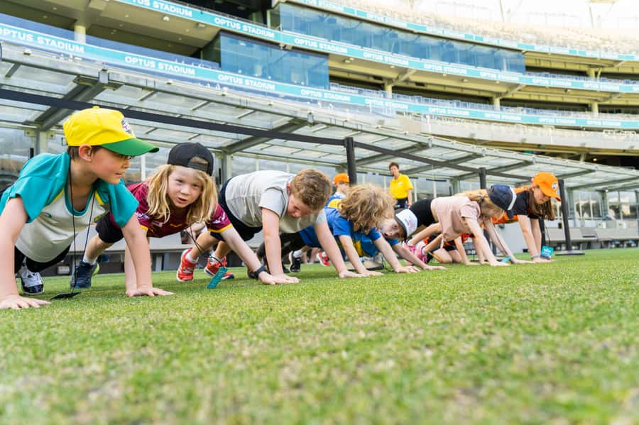 Perth: Optus Stadium Guided Tour - The stadium bowl, city views, and Sky View Lounge