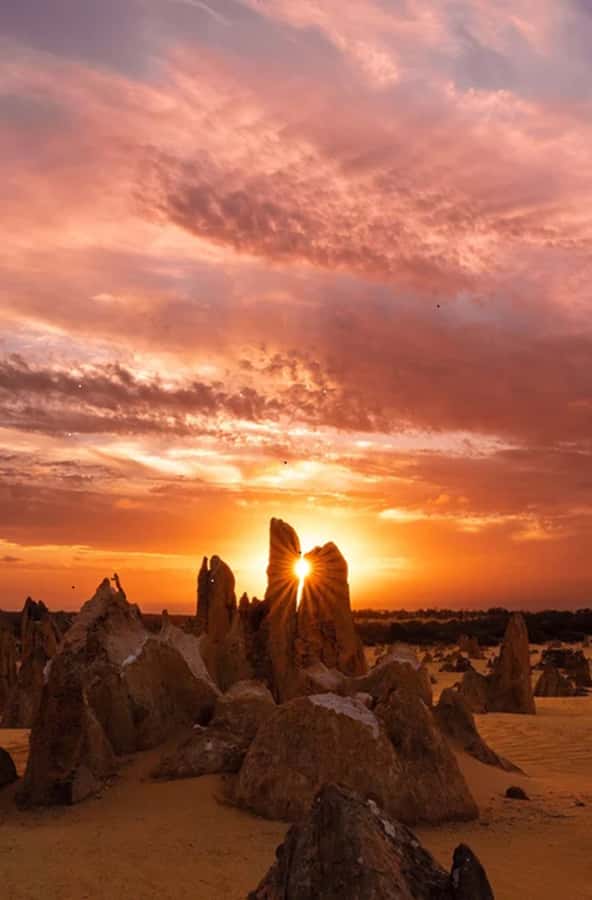 Perth: Pinnacles Desert Sunset & Stargazing with Dinner - Golden light among the Pinnacles