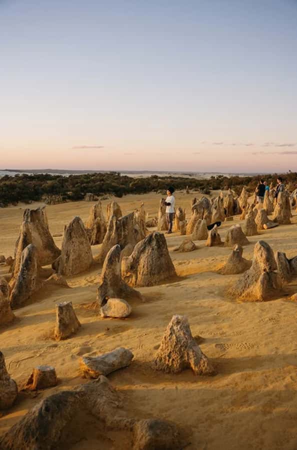 Perth: Pinnacles Desert Sunset & Stargazing with Dinner - Dinner in Cervantes, with room for a local specialty