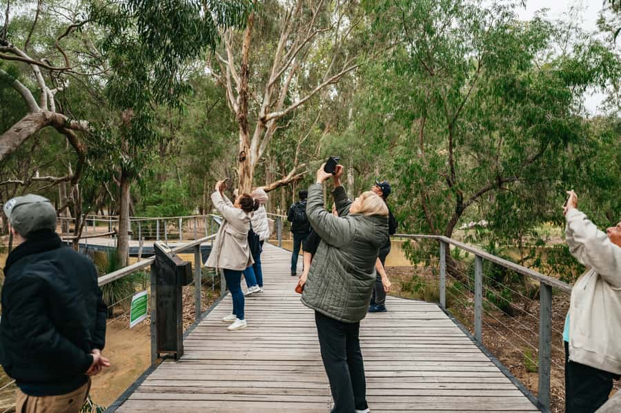 Perth: Pinnacles Desert Sunset & Stargazing with Dinner - Stars above the desert after dinner