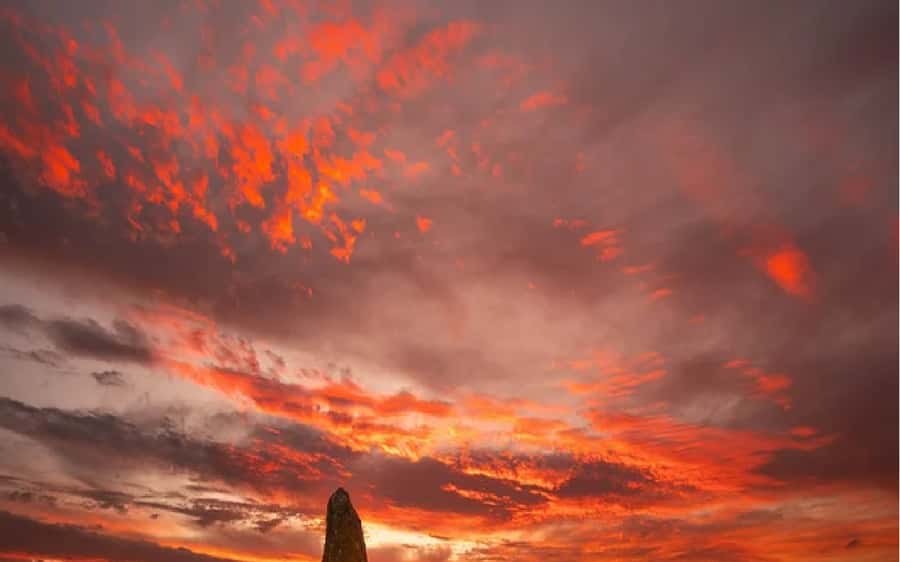 Perth: Pinnacles Desert Sunset & Stargazing with Dinner - A short wildlife stop at Yanchep National Park