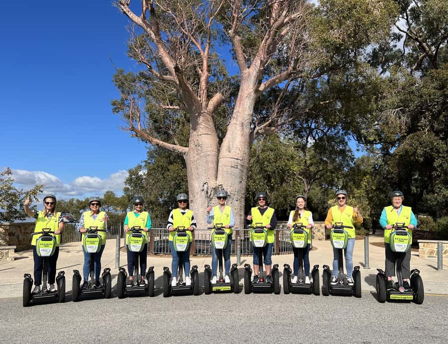 Perth Segway 1.5 Hour Kings Park Tour - Botanic Garden plants and the Boab Tree