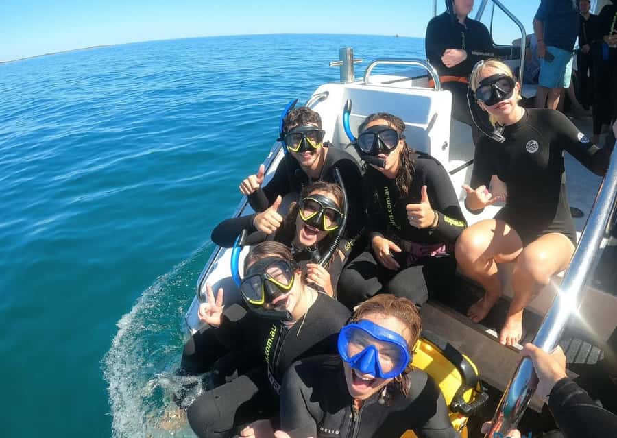 Perth: Swim with Wild Dolphins Tour - The best time to book this experience