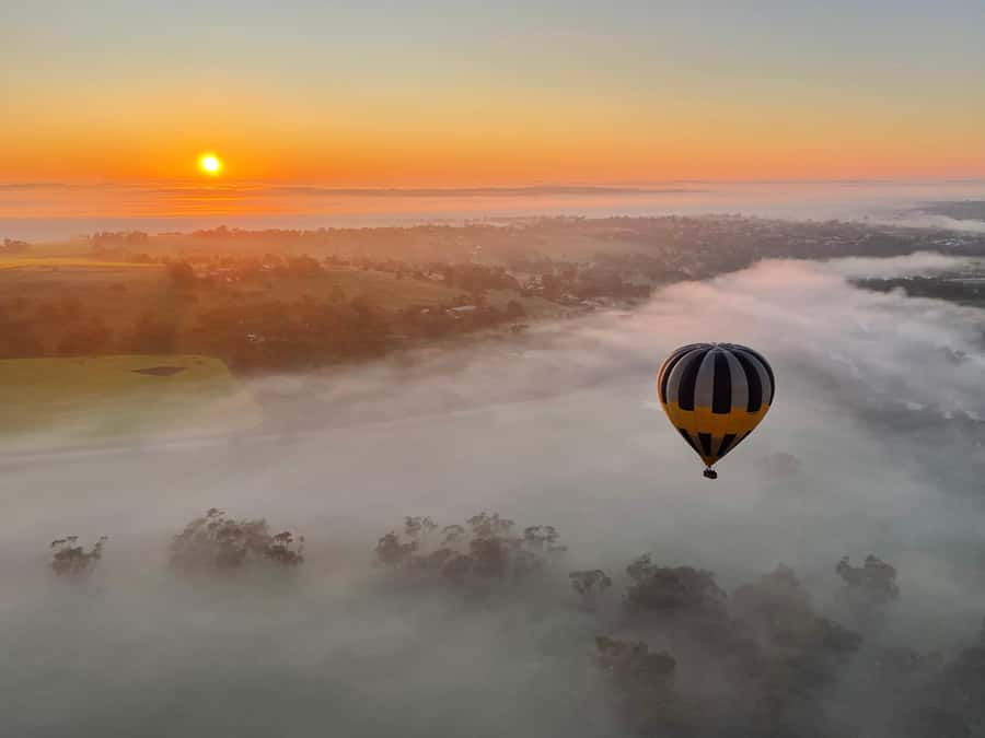 Perth to Northam: Balloon flight including shuttle bus - Who will enjoy this morning most