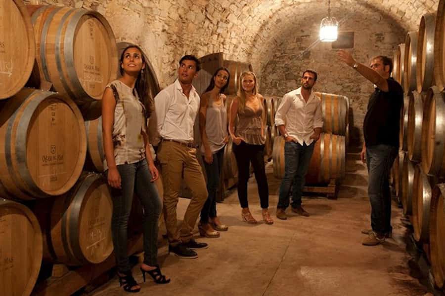 Perth VIP Swan Valley Wine Tour - Premium Small Group Tour - What the $155 price really includes