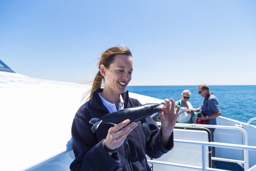 Perth: Whale Watching Cruise from Hillarys Boat Harbour - What the marine biologist adds