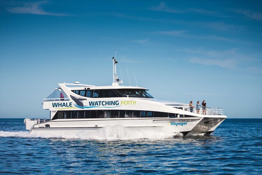 Perth: Whale Watching Cruise from Hillarys Boat Harbour - Who will enjoy it most