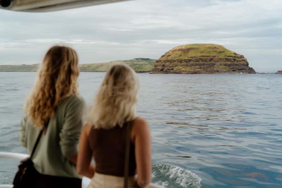 Philip Island: Seal Watching Cruise - Why the seal viewing time matters