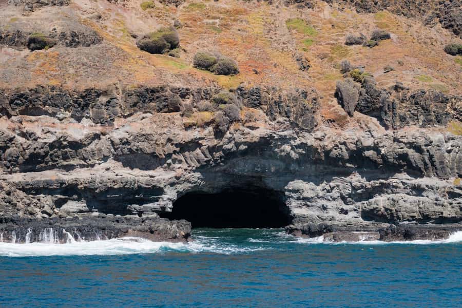 Philip Island: Seal Watching Cruise - Who will enjoy this cruise most?