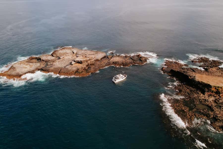 Philip Island: Seal Watching Cruise - Practical tips for a better outing