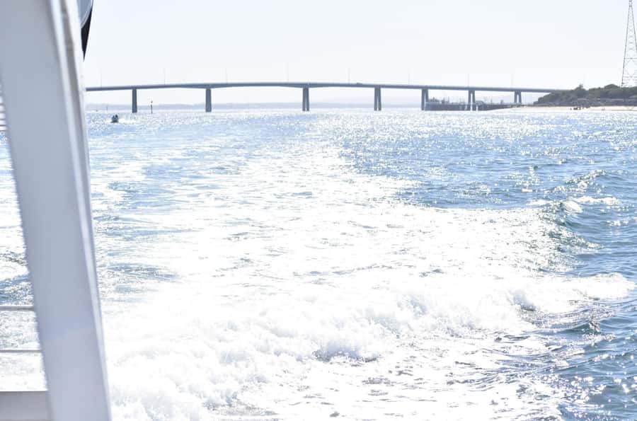 Phillip Island: 1-Hour Cape Woolamai Scenic Cruise - Is one hour long enough?