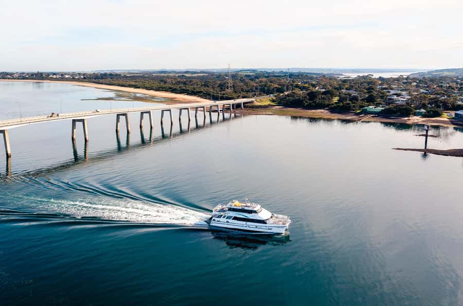 Phillip Island: 1-Hour Cape Woolamai Scenic Cruise - Timing the trip with the pelicans