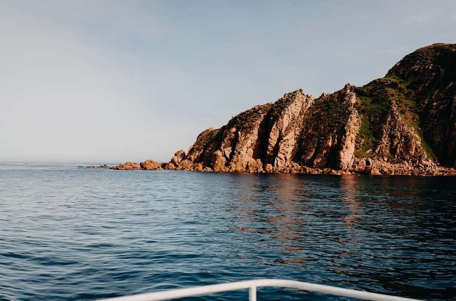 Phillip Island: 1-Hour Cape Woolamai Scenic Cruise - Who will get the most from this cruise?