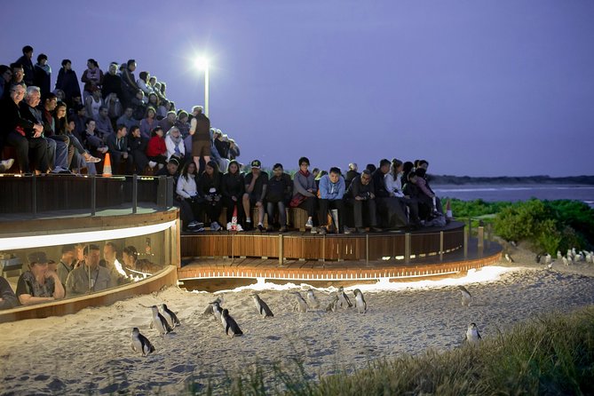 Phillip Island Day Trip from Melbourne with Penguin Plus Viewing Platform - Cowes is useful, but keep expectations modest