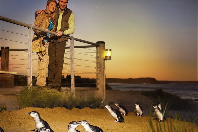 Phillip Island & Penguin Parade Afternoon Eco Tour from Melbourne - An afternoon start leaves your Melbourne morning free