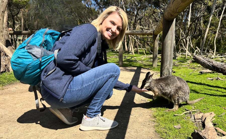 Phillip Island Penguin Parade with Expert Local Guide - Cold weather and practical limits