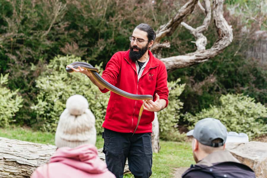 Phillip Island Penguin Parade with Expert Local Guide - The Nobbies boardwalk faces the Southern Ocean