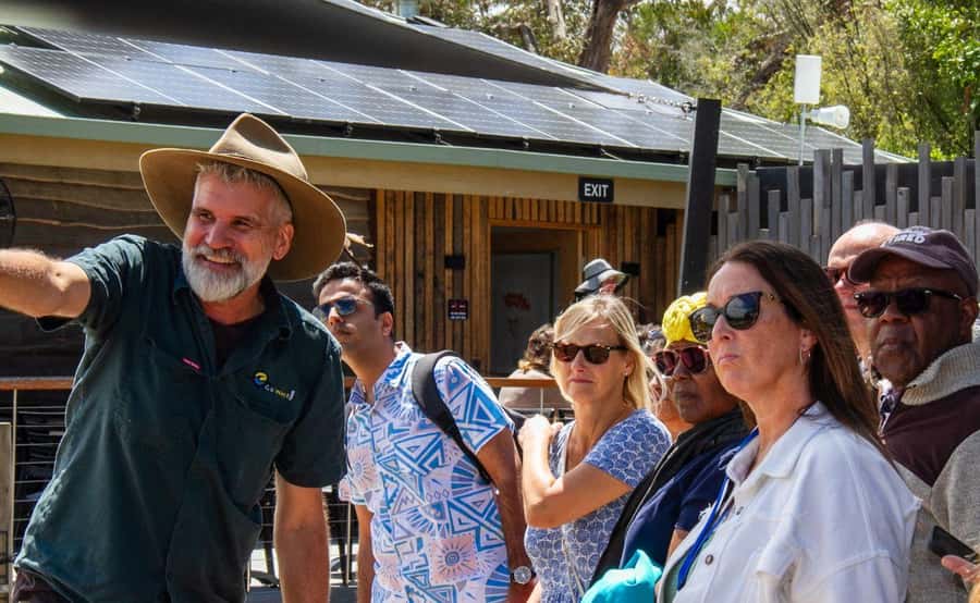 Phillip Island Penguin Parade with Expert Local Guide - Your guide can shape the whole day