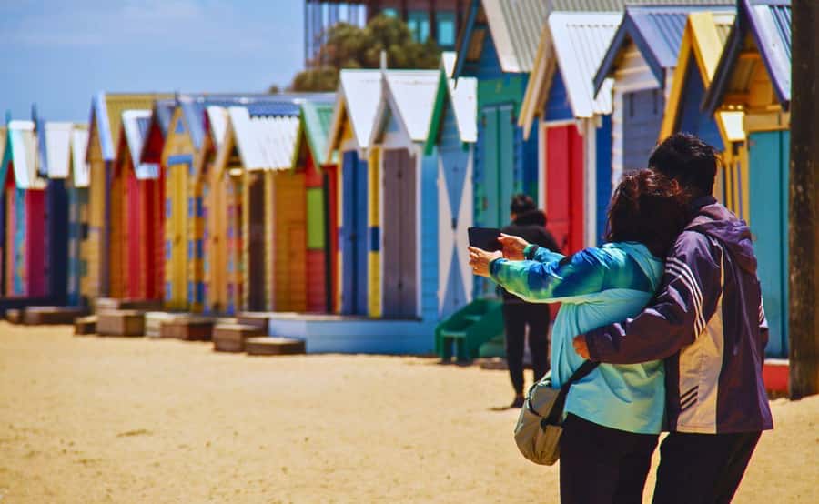 Phillip Island Penguin Parade with Expert Local Guide - Moonlit Sanctuary is more than a quick koala stop