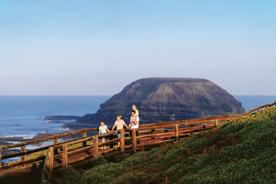 Phillip Island: Penguins and Wildlife Full-Day Tour - Why the little penguins are worth the long day