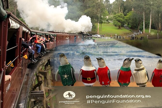 Phillip Island Penguins & Wildlife Day Tour from Melbourne - The Nobbies offers the strongest coastal views