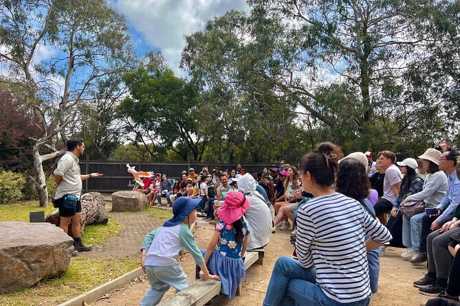 Phillip Island Penguins & Wildlife Day Tour from Melbourne - Weather, timing, and the small details that matter