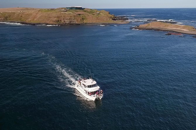 Phillip Island Seal-Watching Cruise - Meeting the Seals at Seal Rocks