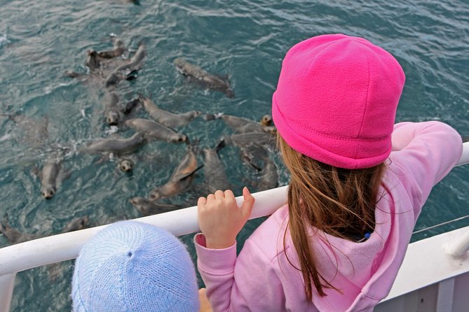 Phillip Island Seal-Watching Cruise - Weather, Motion, and What to Wear