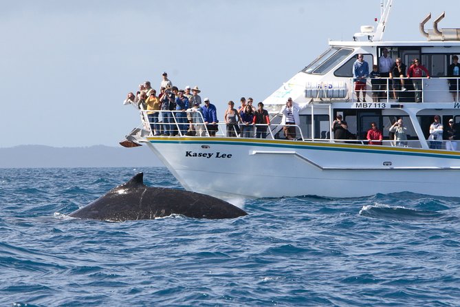 Phillip Island Seal-Watching Cruise - Who Will Enjoy This Cruise Most?