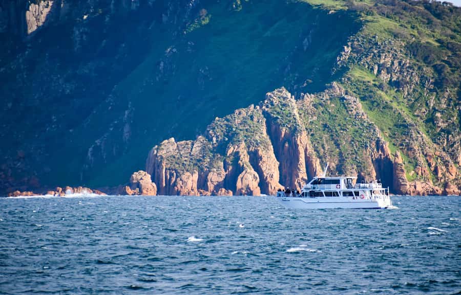 Phillip Island: Whale Watching Boat Tour - Who Will Enjoy This Cruise Most