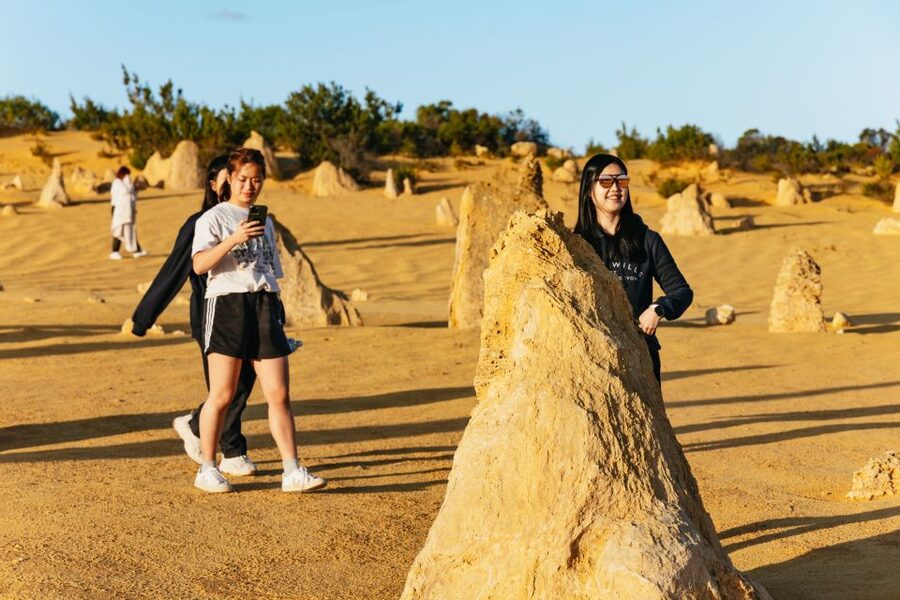 Pinnacles Desert: Sunset BBQ & Stargazing Tour +Sandboarding - Wildlife and the quiet details