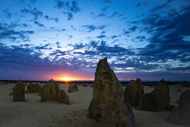 Pinnacles Desert Sunset Dinner and Stargazing Tour - Is $178.59 good value?