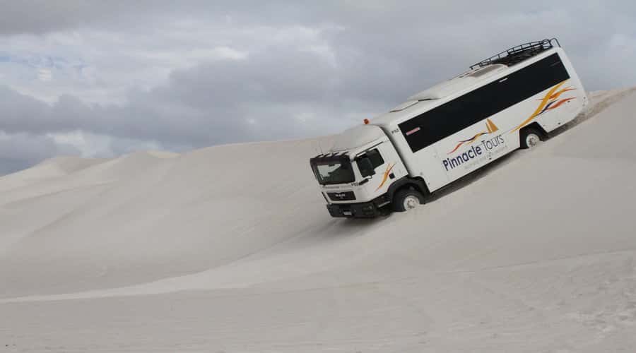 Pinnacles, Koalas & Sandboarding Tour Day Trip from Perth - The long road north to Cervantes