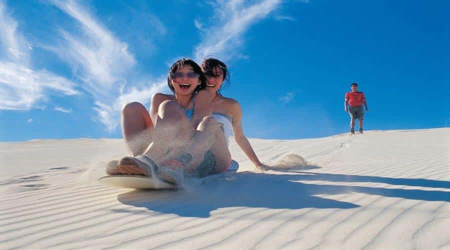 Pinnacles, Koalas & Sandboarding Tour Day Trip from Perth - Caversham Wildlife Park and the kangaroo encounter