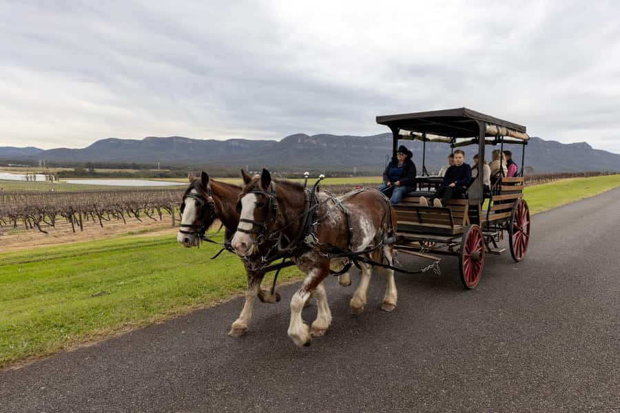 Pokolbin: Harvest the Hunter Horse Drawn Carriage Tour 3hrs - Key points to know before you book