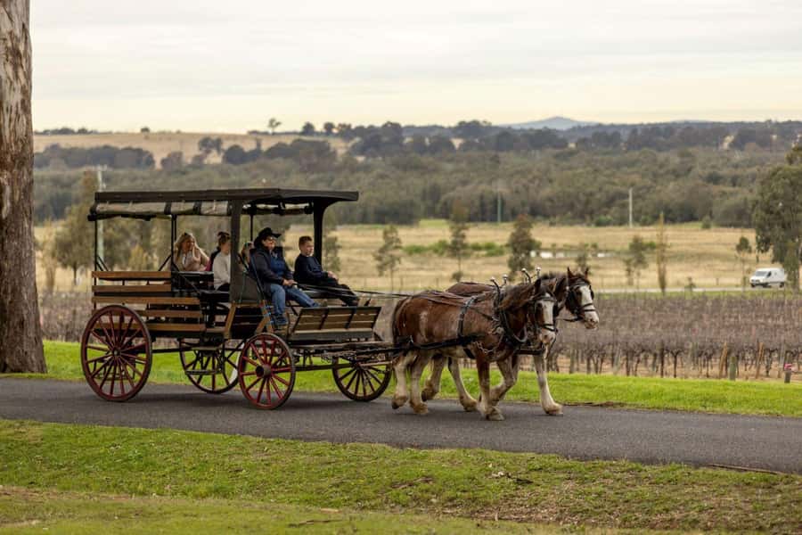 Pokolbin: Harvest the Hunter Horse Drawn Carriage Tour 3hrs - Why a carriage is a smart way to see Pokolbin