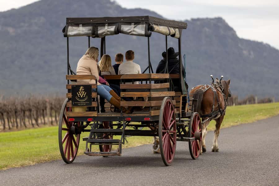 Pokolbin: Harvest the Hunter Horse Drawn Carriage Tour 3hrs - The first winery stop: wine with room to ask questions