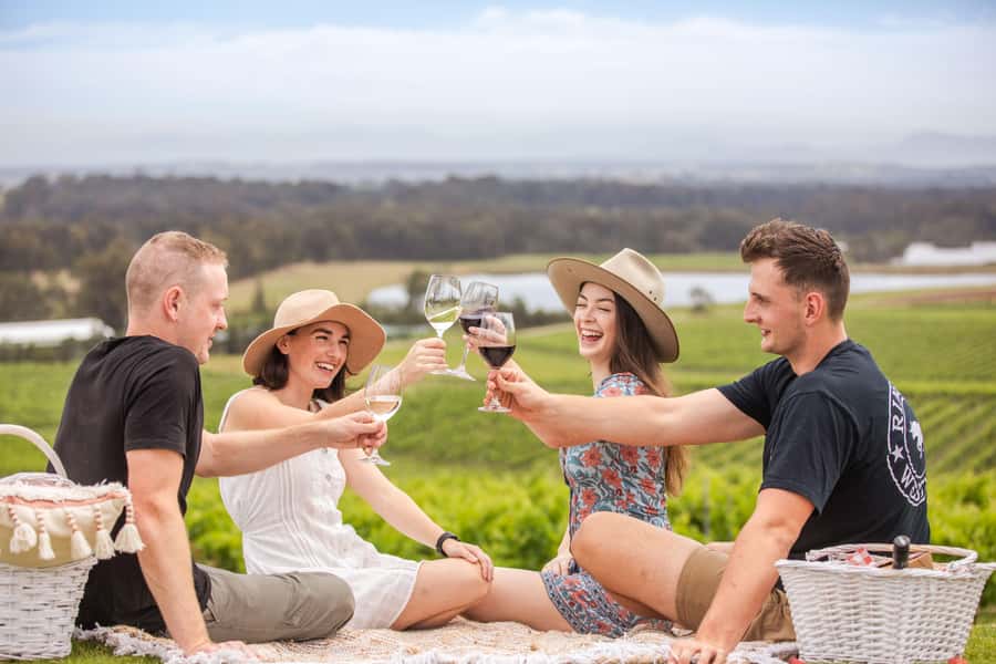 Pokolbin: Picnic & Wine Tasting at Audrey Wilkinson Vineyard - Weather, age limits, and booking details