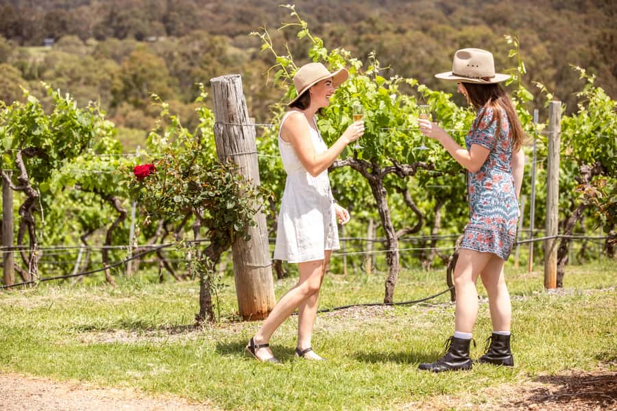 Pokolbin: Picnic & Wine Tasting at Audrey Wilkinson Vineyard - What comes in the picnic hamper