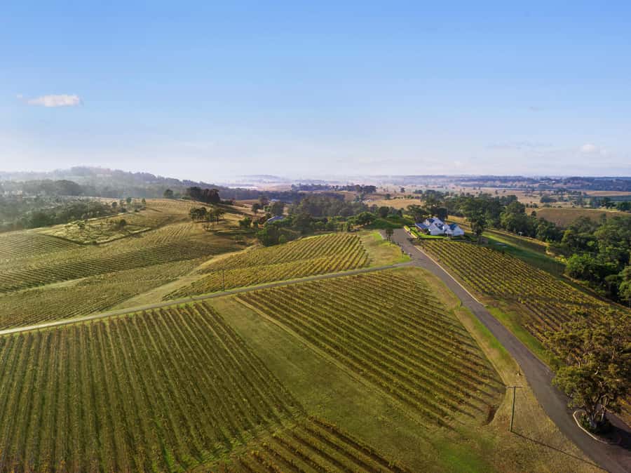 Pokolbin: Picnic & Wine Tasting at Audrey Wilkinson Vineyard - The museum adds context before the tasting