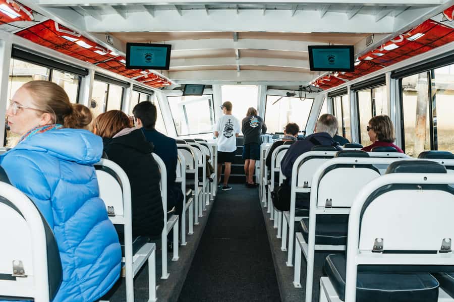 Port Adelaide: Dolphin and Ships Graveyard Cruise - Key things to know before you book
