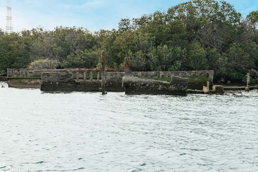 Port Adelaide: Dolphin and Ships Graveyard Cruise - Entering the Ships Graveyard