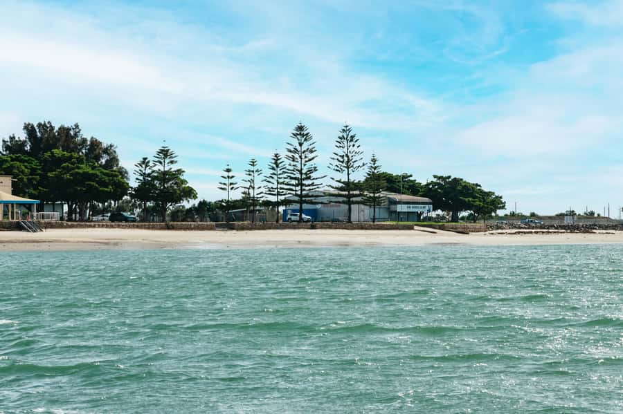 Port Adelaide: Dolphin and Ships Graveyard Cruise - Along the International Bird Sanctuary