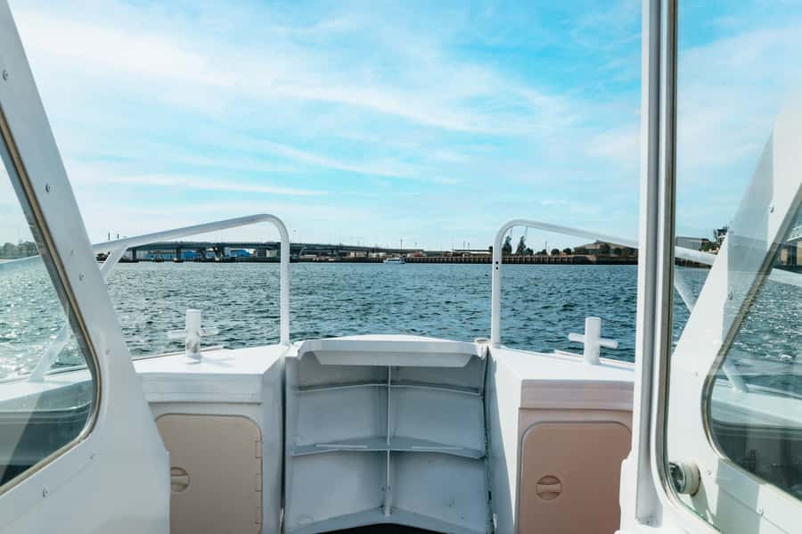 Port Adelaide: Dolphin and Ships Graveyard Cruise - Guides make or break the 90 minutes