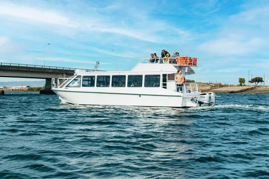 Port Adelaide: Dolphin and Ships Graveyard Cruise - What $62 gets you
