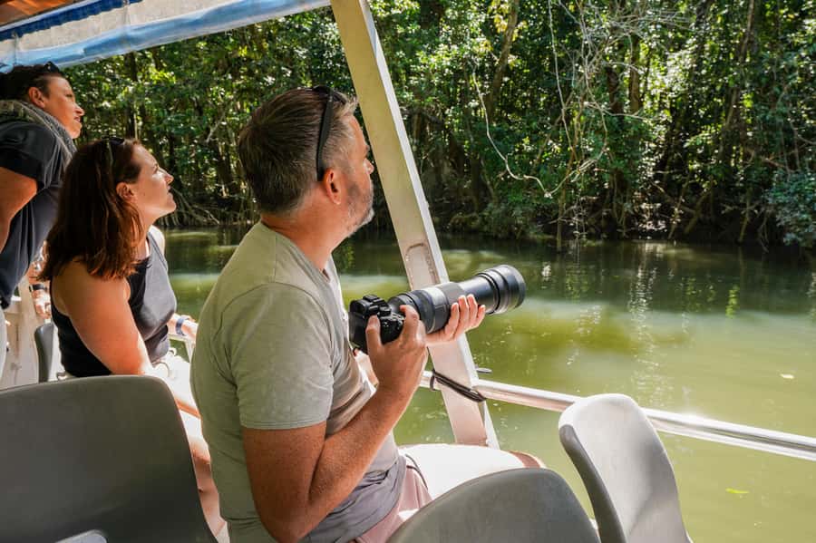 Port Douglas: Afternoon Daintree Tour w/ Wildlife Cruise - Who will get the most from this tour