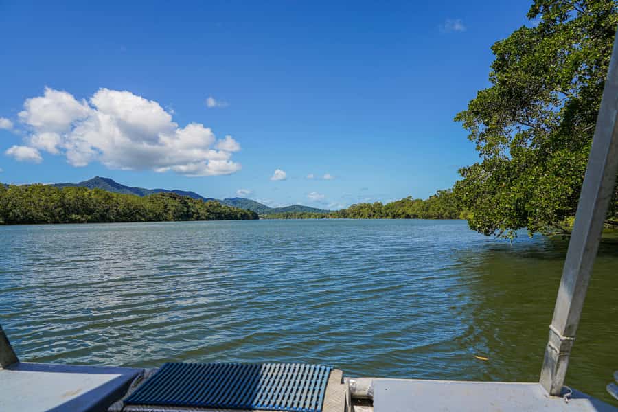Port Douglas: Afternoon Daintree Tour w/ Wildlife Cruise - Is $112 per person good value?
