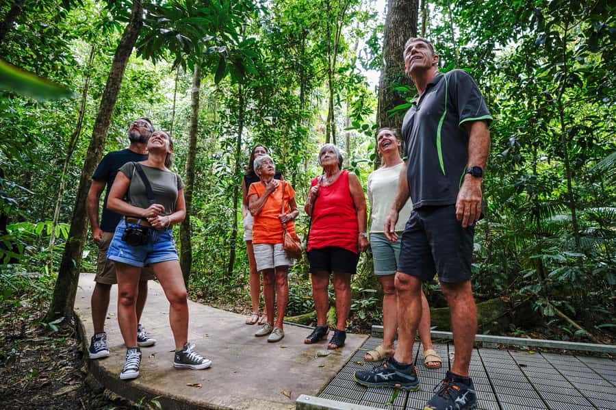 Port Douglas: Best of Daintree Rainforest Day Tour - Why this Daintree day works so well
