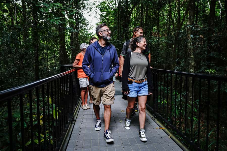 Port Douglas: Best of Daintree Rainforest Day Tour - A boardwalk that explains how the rainforest works