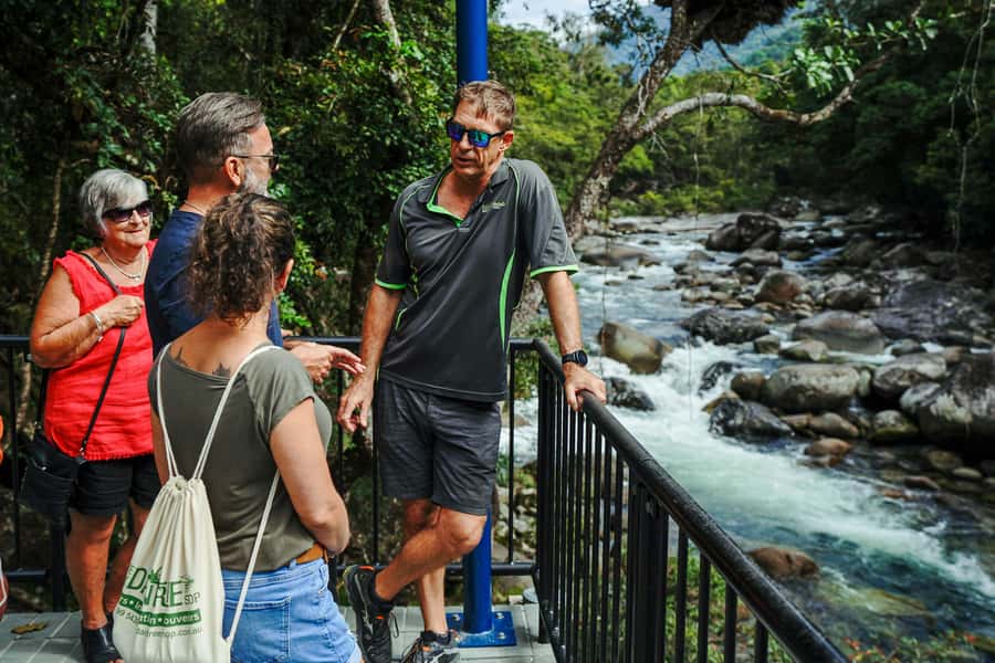 Port Douglas: Best of Daintree Rainforest Day Tour - Crossing the Daintree Ferry